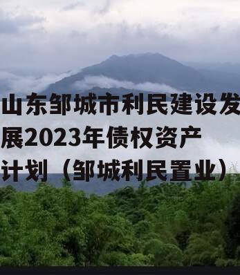 山东邹城市利民建设发展2023年债权资产计划（邹城利民置业）