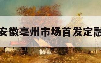 安徽亳州市场首发定融