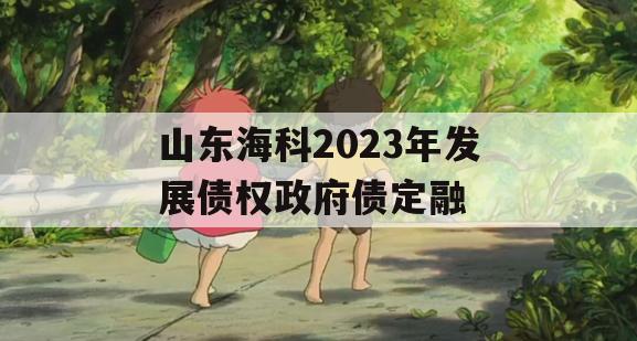 山东海科2023年发展债权政府债定融