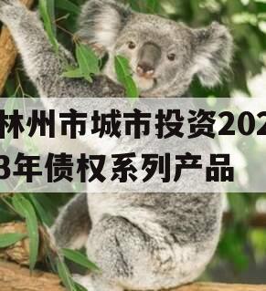 林州市城市投资2023年债权系列产品