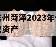 滨州菏泽2023年债权资产