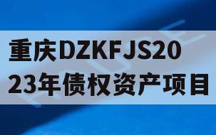 重庆DZKFJS2023年债权资产项目