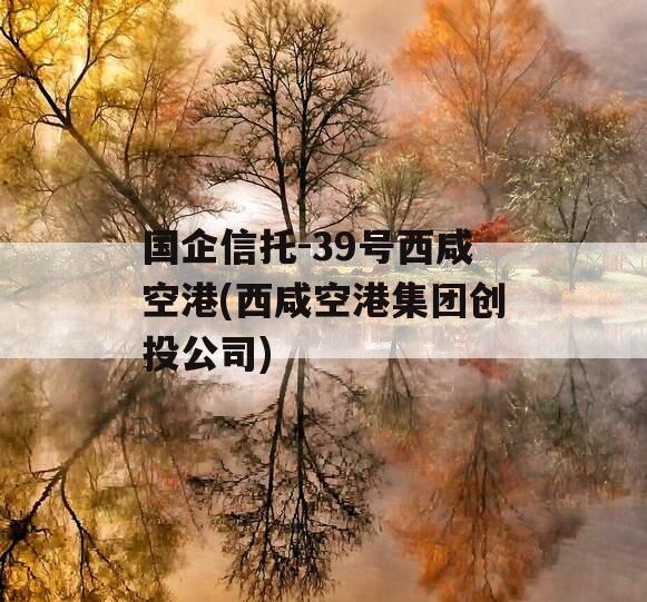 国企信托-39号西咸空港(西咸空港集团创投公司)