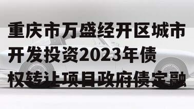重庆市万盛经开区城市开发投资2023年债权转让项目政府债定融