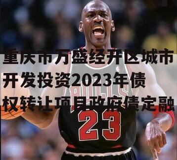 重庆市万盛经开区城市开发投资2023年债权转让项目政府债定融