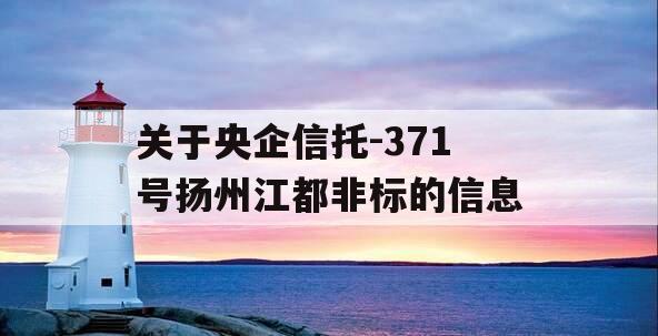 关于央企信托-371号扬州江都非标的信息