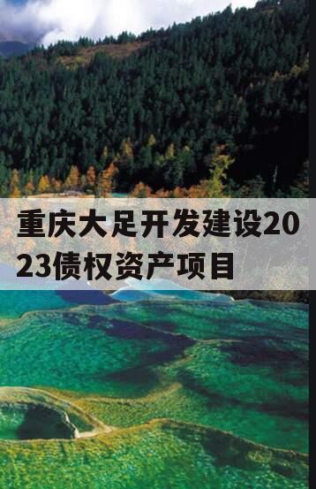 重庆大足开发建设2023债权资产项目