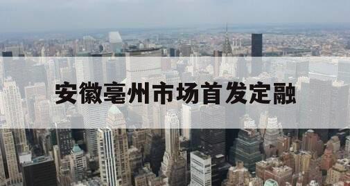 安徽亳州市场首发定融