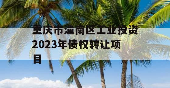 重庆市潼南区工业投资2023年债权转让项目