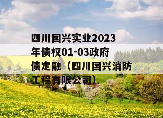 四川国兴实业2023年债权01-03政府债定融（四川国兴消防工程有限公司）