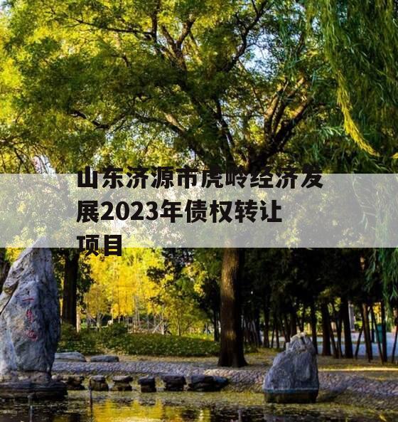 山东济源市虎岭经济发展2023年债权转让项目