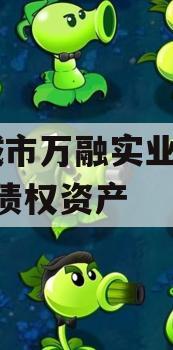邹城市万融实业2023年债权资产