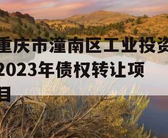 重庆市潼南区工业投资2023年债权转让项目