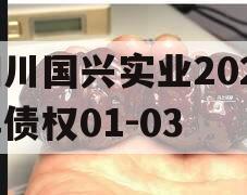 四川国兴实业2023年债权01-03