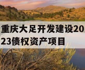 重庆大足开发建设2023债权资产项目