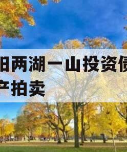 简阳两湖一山投资债权资产拍卖