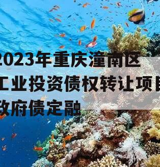 2023年重庆潼南区工业投资债权转让项目政府债定融
