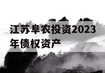 江苏阜农投资2023年债权资产