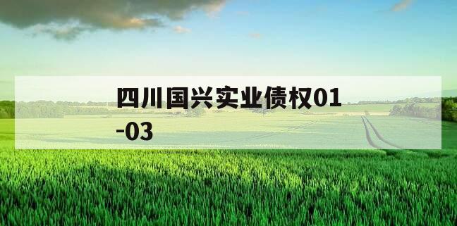 四川国兴实业债权01-03