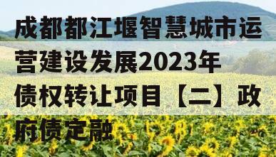 成都都江堰智慧城市运营建设发展2023年债权转让项目【二】政府债定融