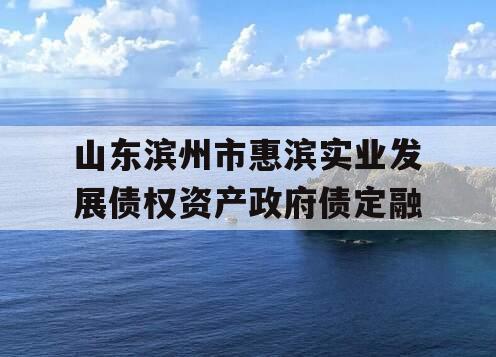 山东滨州市惠滨实业发展债权资产政府债定融