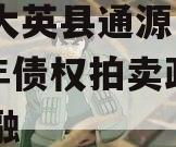 四川大英县通源实业2023年债权拍卖政府债定融
