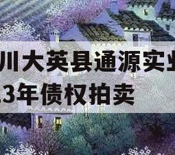 四川大英县通源实业2023年债权拍卖