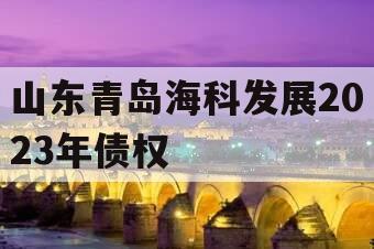 山东青岛海科发展2023年债权