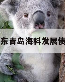 山东青岛海科发展债权