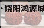 衡水·饶阳鸿源城投债权