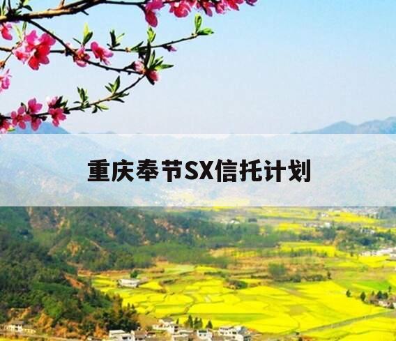 重庆奉节SX信托计划