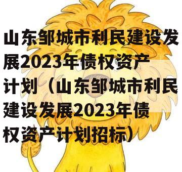 山东邹城市利民建设发展2023年债权资产计划（山东邹城市利民建设发展2023年债权资产计划招标）