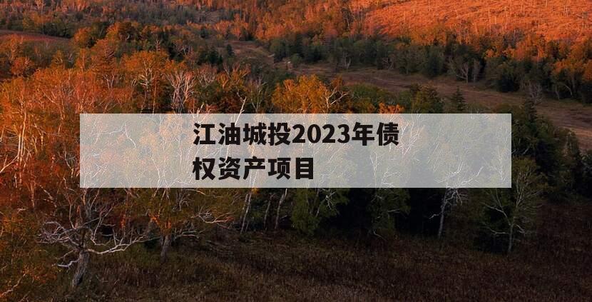 江油城投2023年债权资产项目