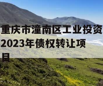 重庆市潼南区工业投资2023年债权转让项目