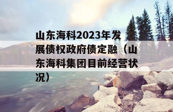 山东海科2023年发展债权政府债定融（山东海科集团目前经营状况）