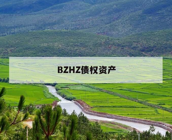BZHZ债权资产