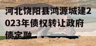 河北饶阳县鸿源城建2023年债权转让政府债定融