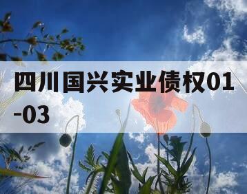 四川国兴实业债权01-03