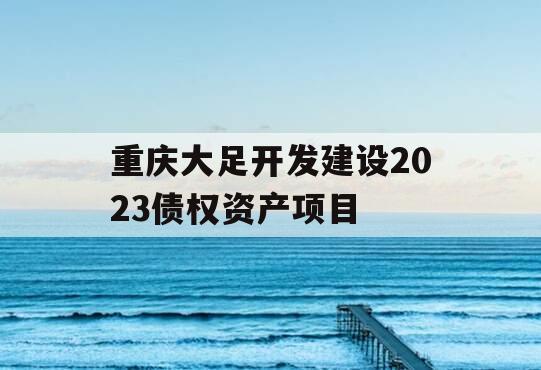 重庆大足开发建设2023债权资产项目