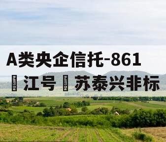 A类央企信托-861‮江号‬苏泰兴非标