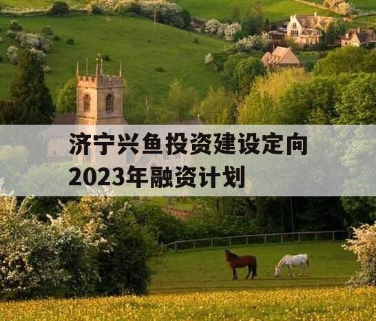 济宁兴鱼投资建设定向2023年融资计划