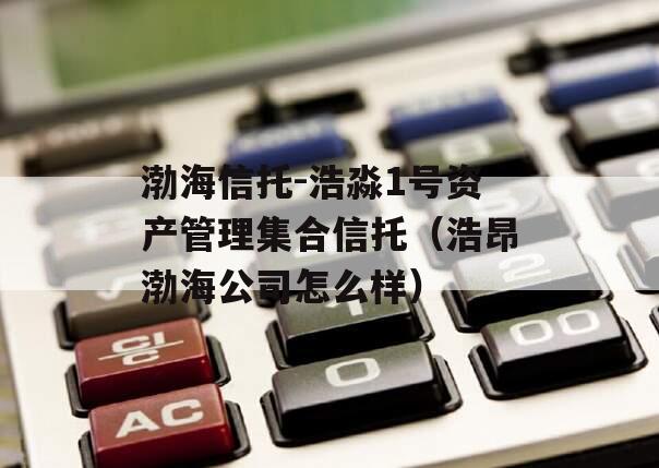 渤海信托-浩淼1号资产管理集合信托（浩昂渤海公司怎么样）