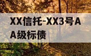 XX信托-XX3号AA级标债