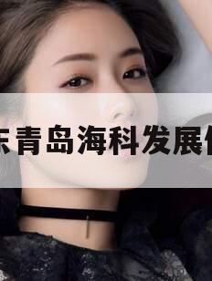 山东青岛海科发展债权