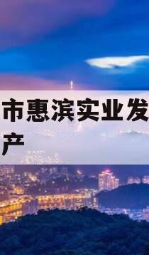 滨州市惠滨实业发展债权资产