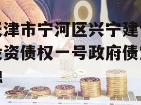 天津市宁河区兴宁建设投资债权一号政府债定融