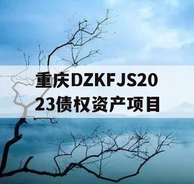 重庆DZKFJS2023债权资产项目