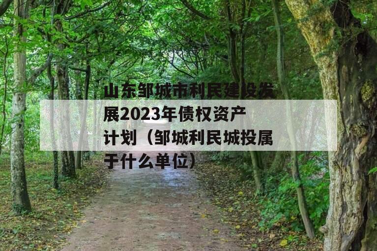山东邹城市利民建设发展2023年债权资产计划（邹城利民城投属于什么单位）