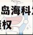 山东青岛海科发展2023年债权