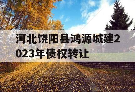 河北饶阳县鸿源城建2023年债权转让